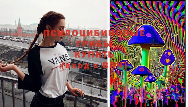 гидропоника Алексеевка