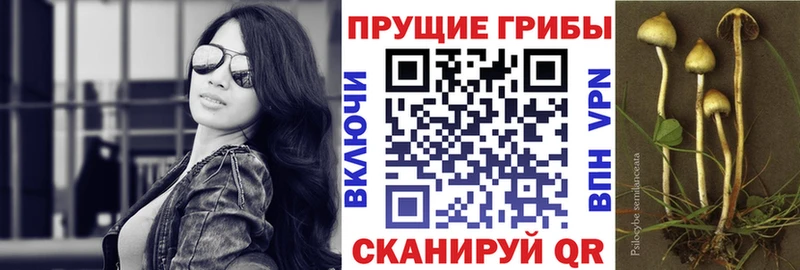 наркошоп  Лысьва  Галлюциногенные грибы ЛСД 
